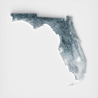 Carte topographique 3D de relief de la Floride 