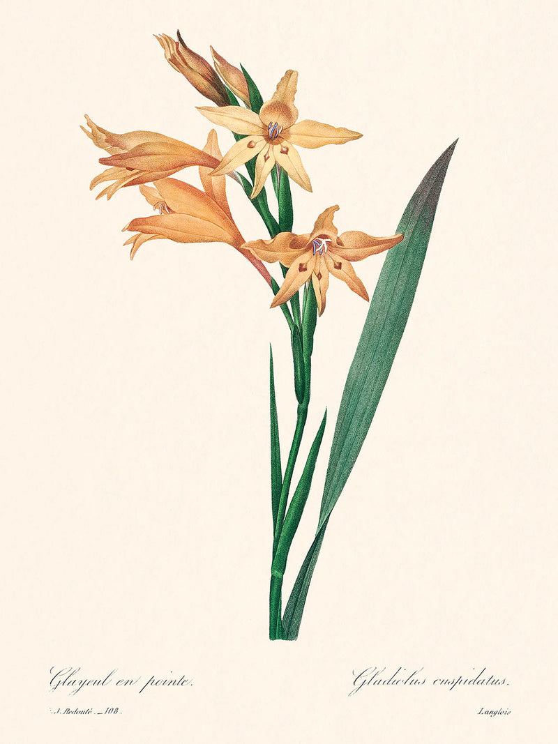 Visualiser thumbnail artwork