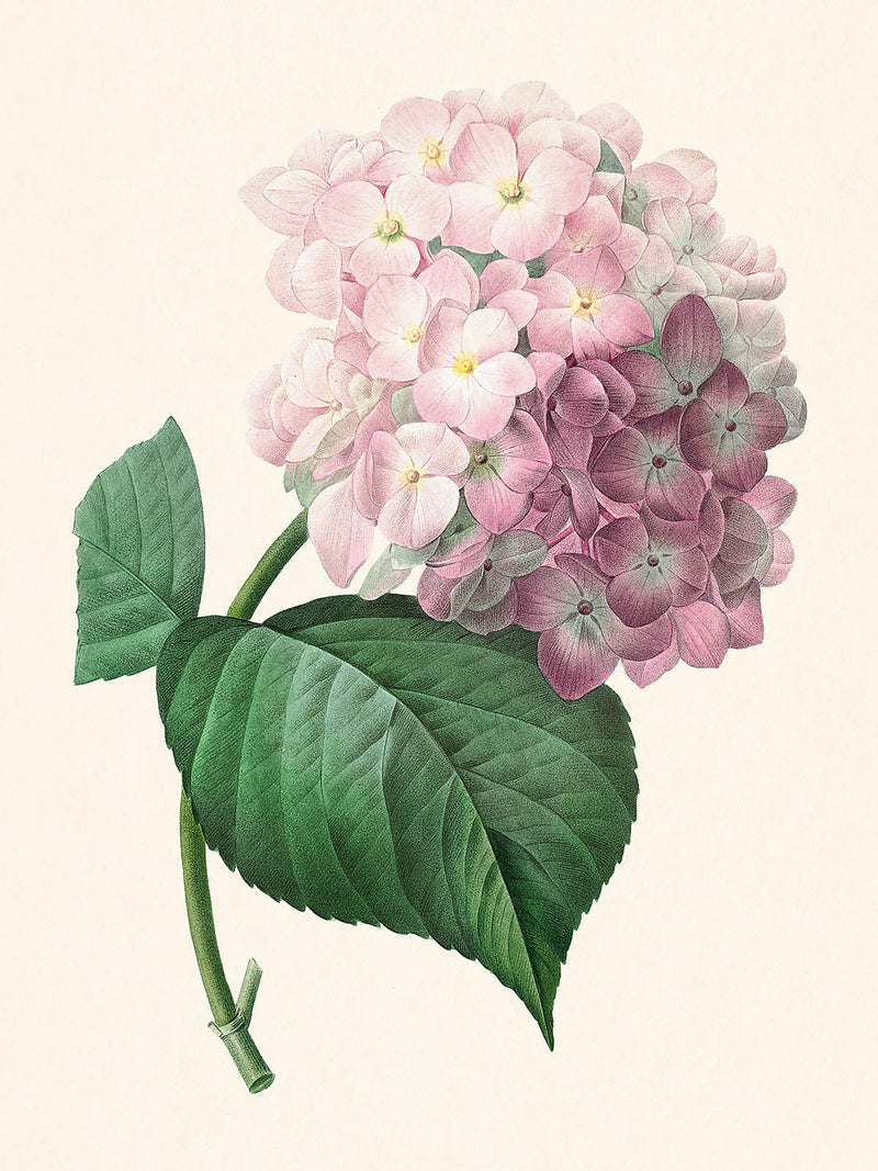 Visualiser thumbnail artwork