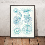 Ethereal Jellyfish (Leptomedusae Faltenquallen) by Ernst Haeckel, 1904