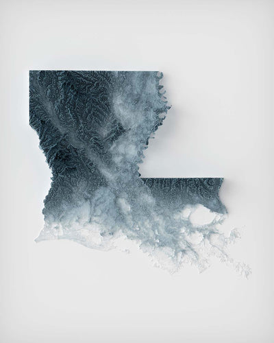 Carte topographique en relief 3D de la Louisiane 