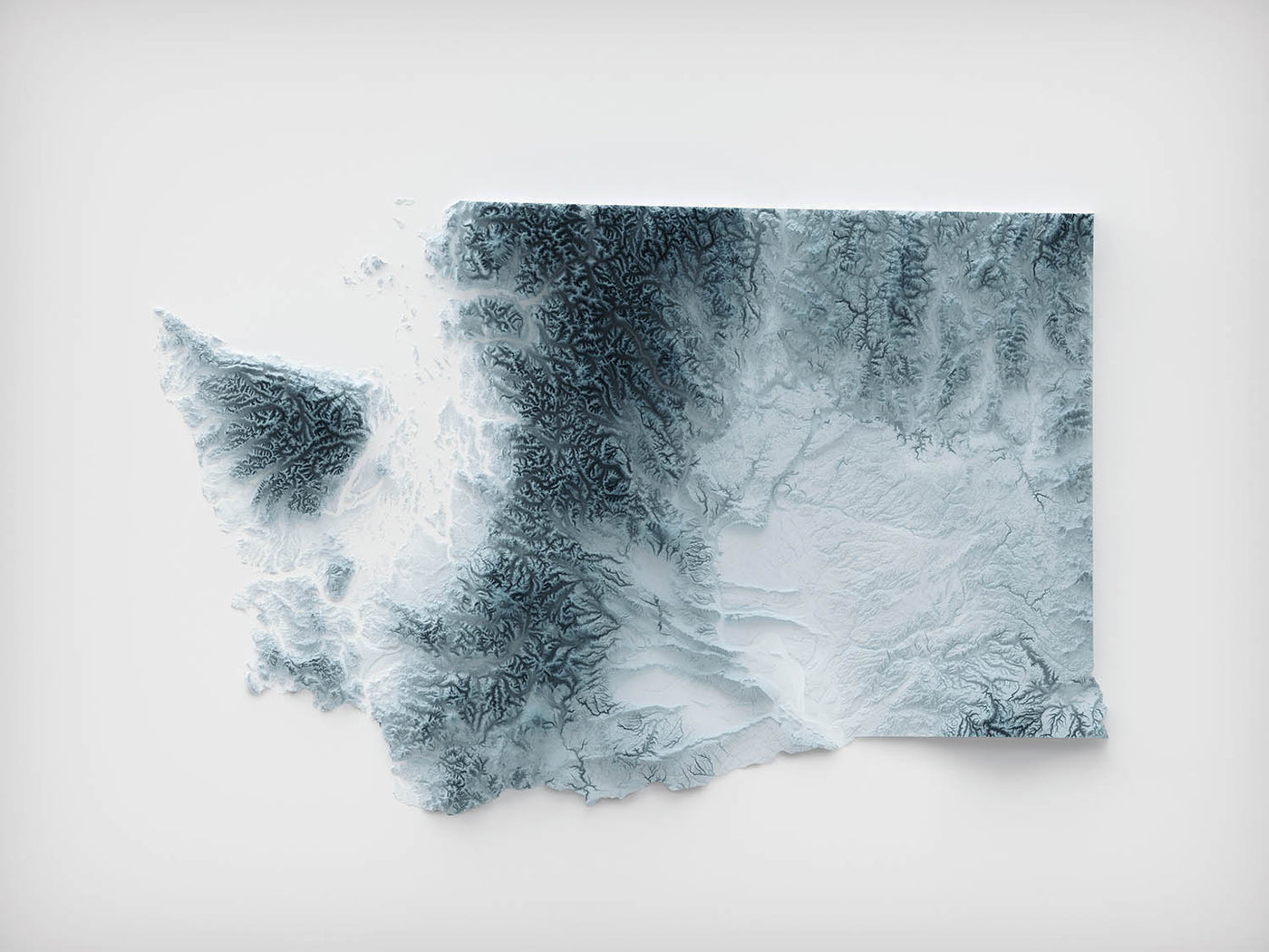 Carte topographique en relief 3D de l'État de Washington 