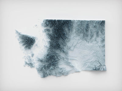 Carte topographique en relief 3D de l'État de Washington 
