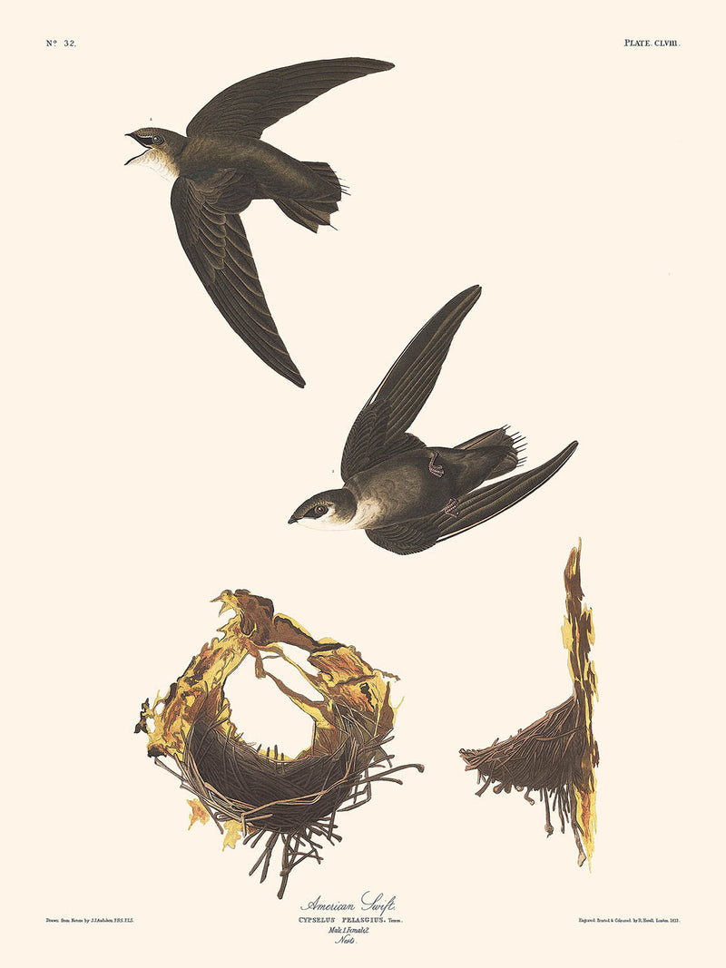 Visualiser thumbnail artwork