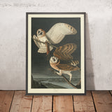 Gufo delle nevi da 'Uccelli d'America' di John James Audubon, 1827 