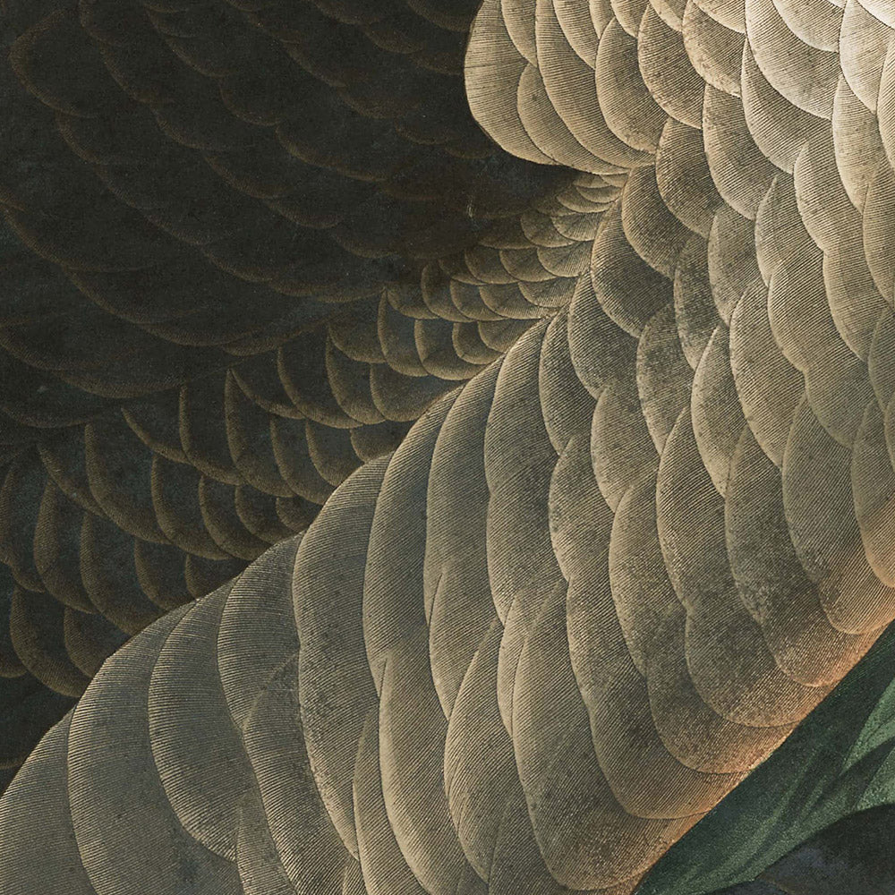 Ganso canadiense, de John James Audubon, 1827