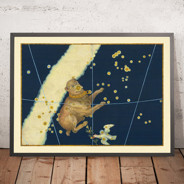 Antica mappa stellare di Canis Major (Cane Grande) di Johann Bayer, 1603 - Mappa della costellazione celeste 