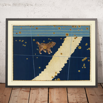 Ancienne carte stellaire de Canis Minor (Petit Chien) par Johann Bayer, 1603 - Carte des constellations célestes 