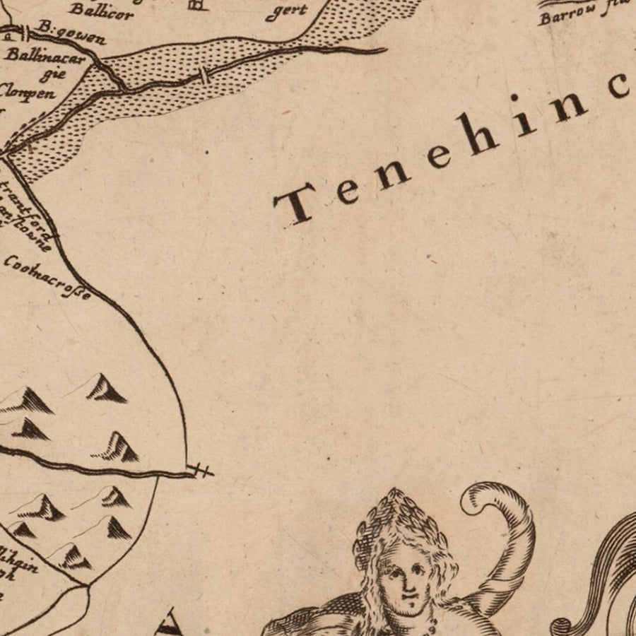 Old Map of County Offaly (King&