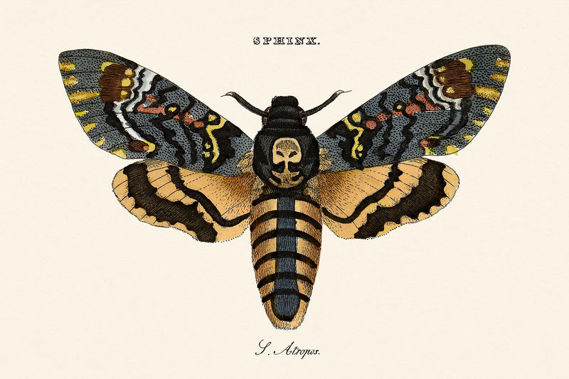 Visualiser thumbnail artwork