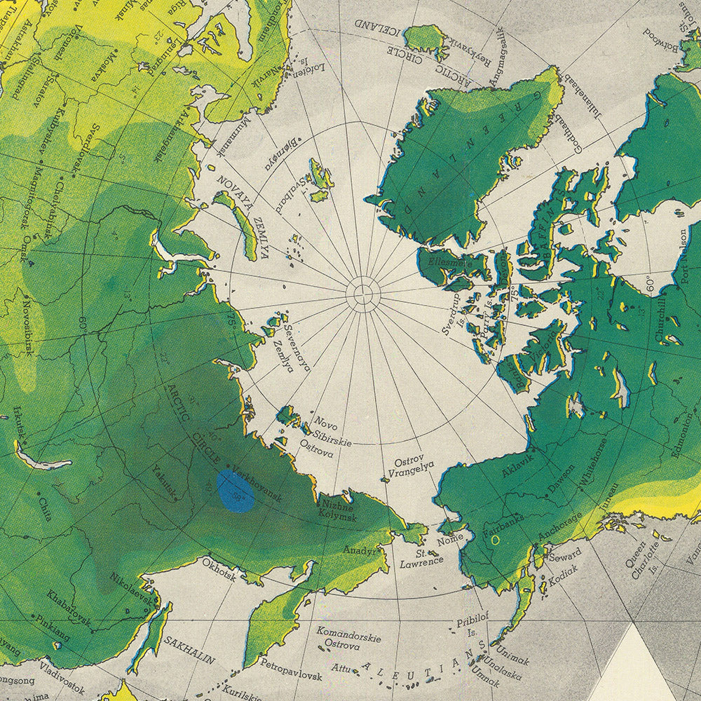 Carte du vieux monde de Dymaxion Airocean par Fuller, 1954 : projection icosaédrique, Terre à une île, inscrite