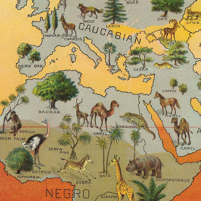 Climatic Chart of the World, 1893: Distribution of Human Races, Animals, and Vegetation by Yaggy