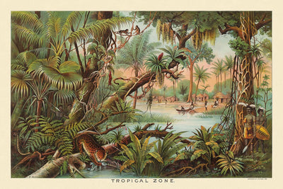 Zone tropicale par Levi Walter Yaggy, 1893