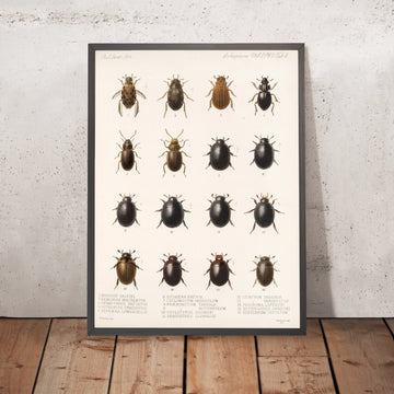 A framed image of 
