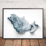 Gulf Countries Topographic 3D Relief Map