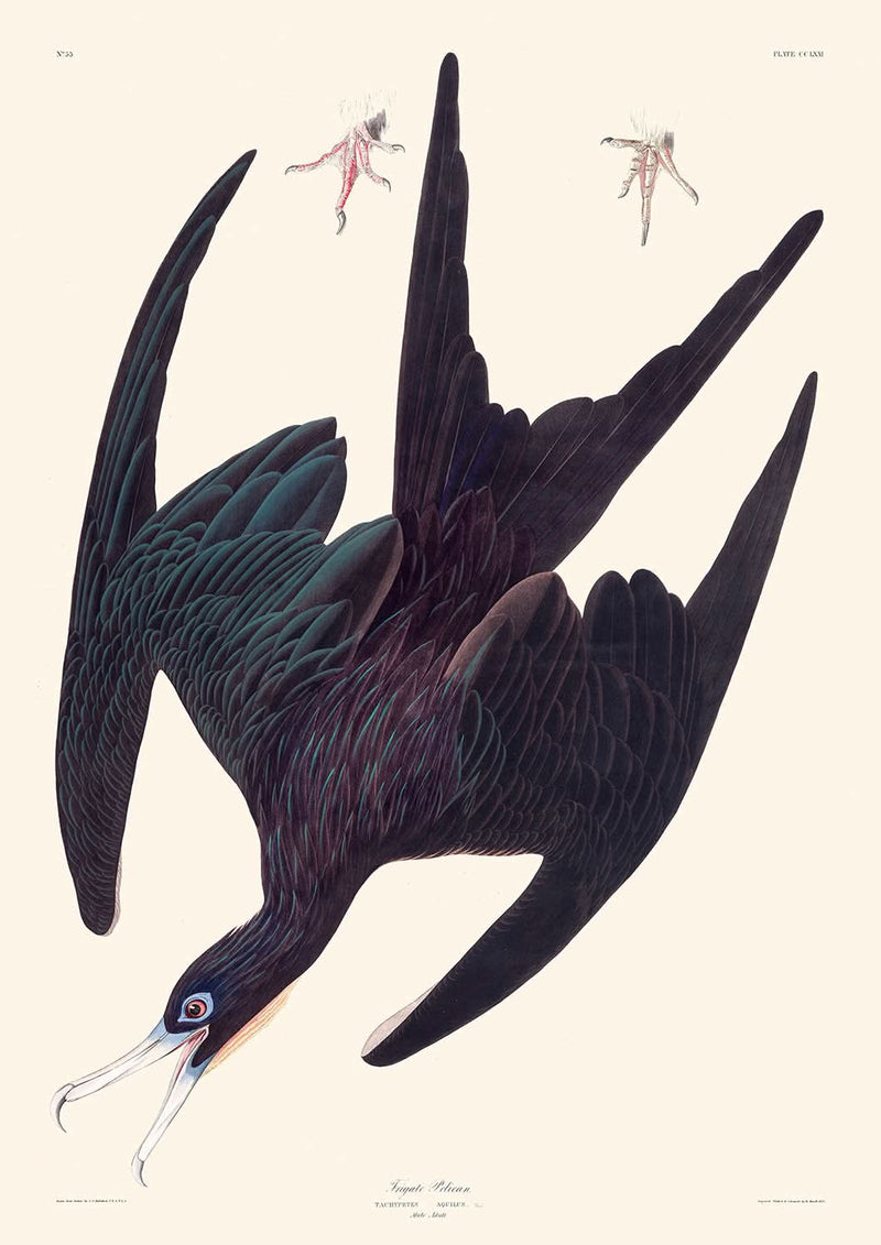 Visualiser thumbnail artwork