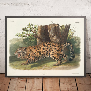 A framed image of 