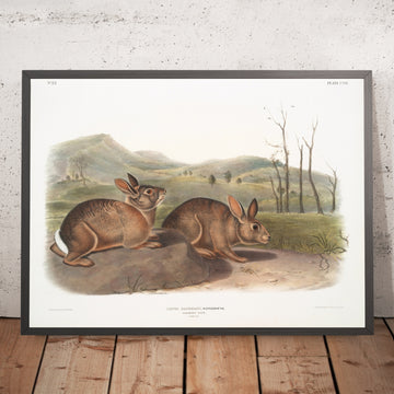 A framed image of 