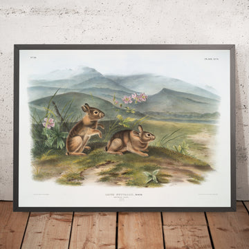 A framed image of 