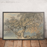 Un grand arbre par Turner, 1796 