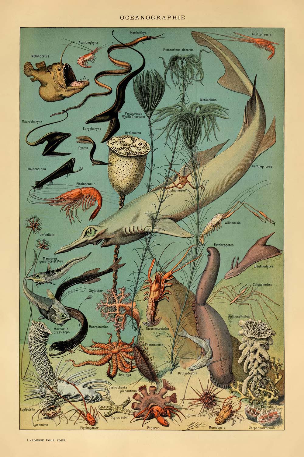Ozeanographie von Adolphe Millot 1890 