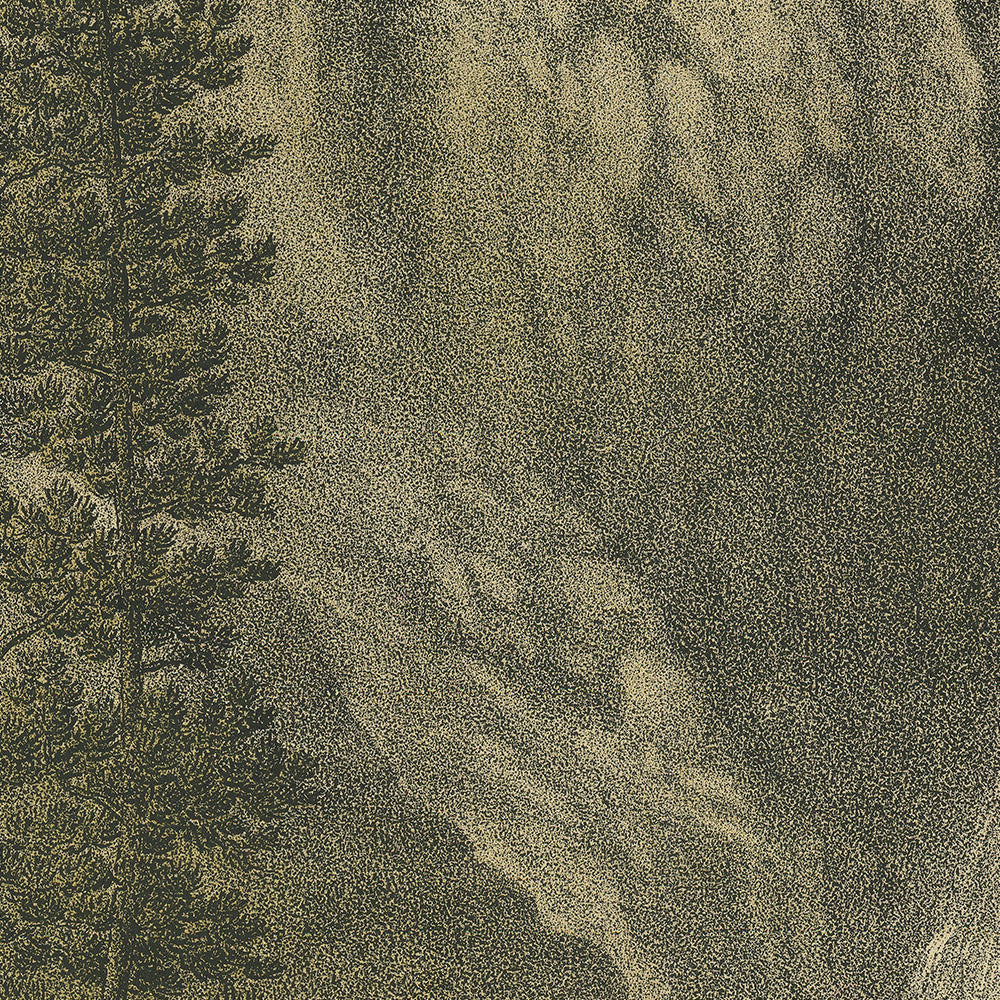 Great Falls of the Yellowstone by Kurz & Allison, 1885