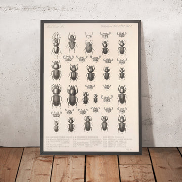 A framed image of 