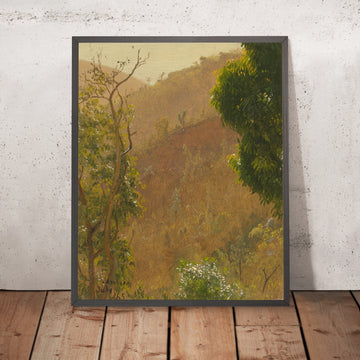 A framed image of 