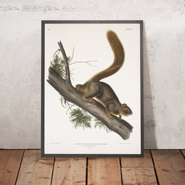 A framed image of 