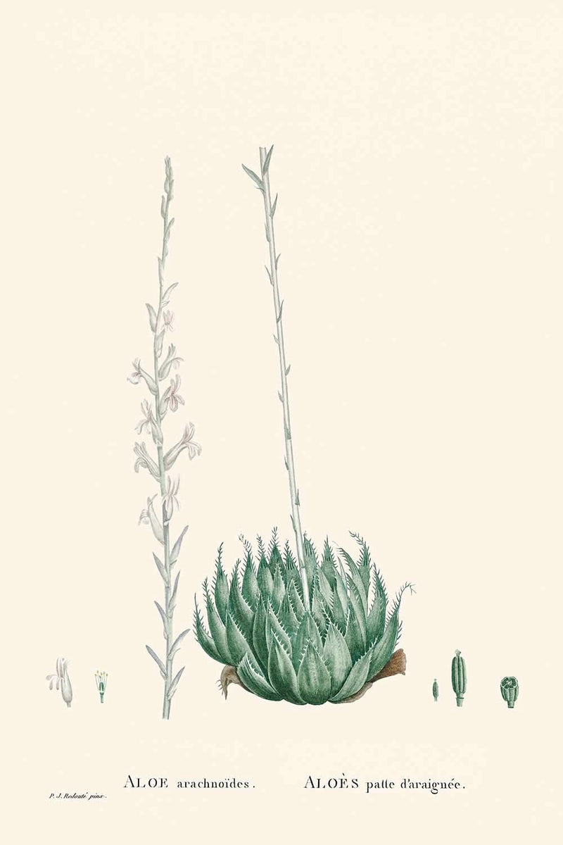 Visualiser thumbnail artwork