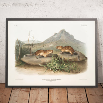 A framed image of 