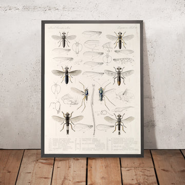 A framed image of 