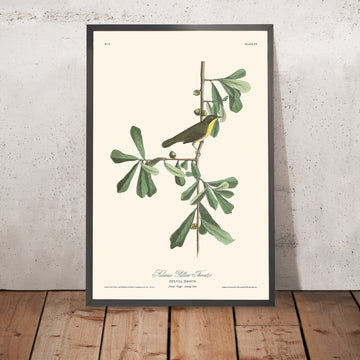 A framed image of Roscoe&