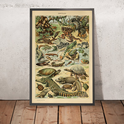 A framed image of Reptiles by Adolphe Millot, 1890