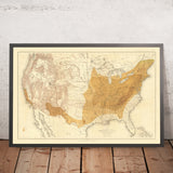 Walnut Distribution Map of North America by Gannett, 1884