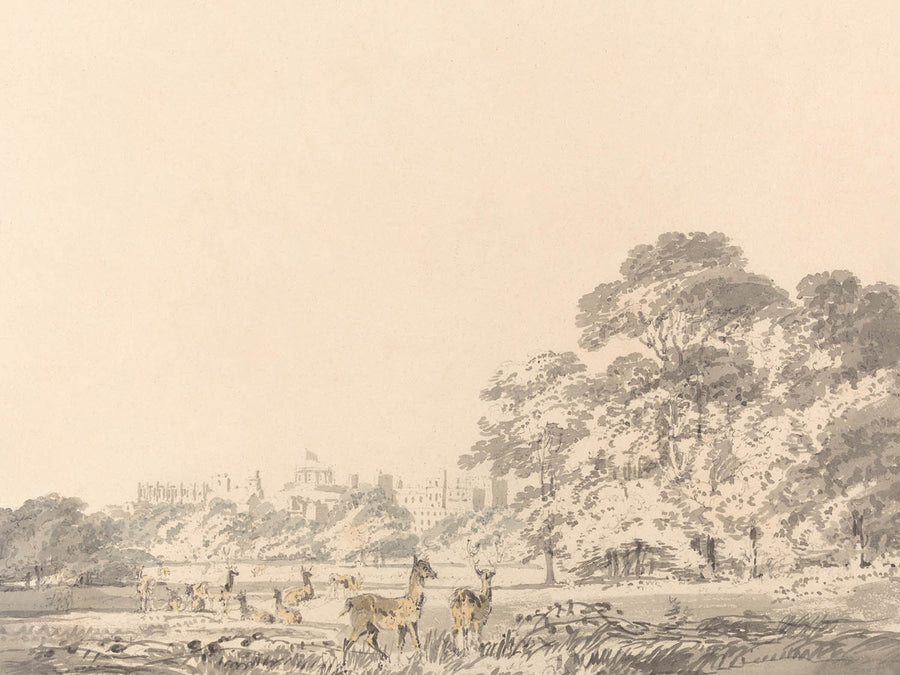 Castillo de Windsor y Parque con Ciervos de Turner, 1800 