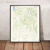 Old Map of Dolores, Colorado by USGS, 1965 – Dolores River & San Juan National Forest