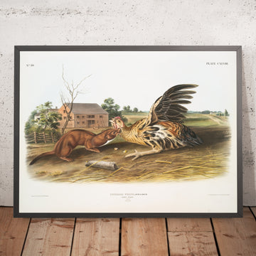 A framed image of 