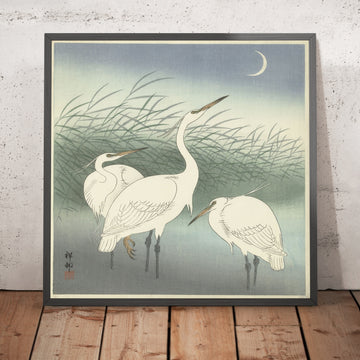 A framed image of 