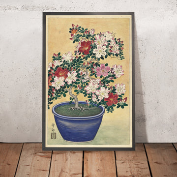 A framed image of 