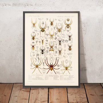 A framed image of 