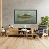Brown or German Trout (Salmo fario) by John L. Petrie, 1898