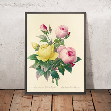 A framed image of Yellow Rose (Rosa lutea, Plate 94) by Pierre Joseph Redouté, 1827