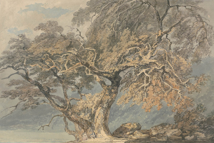 Ein großer Baum von Turner, 1796 