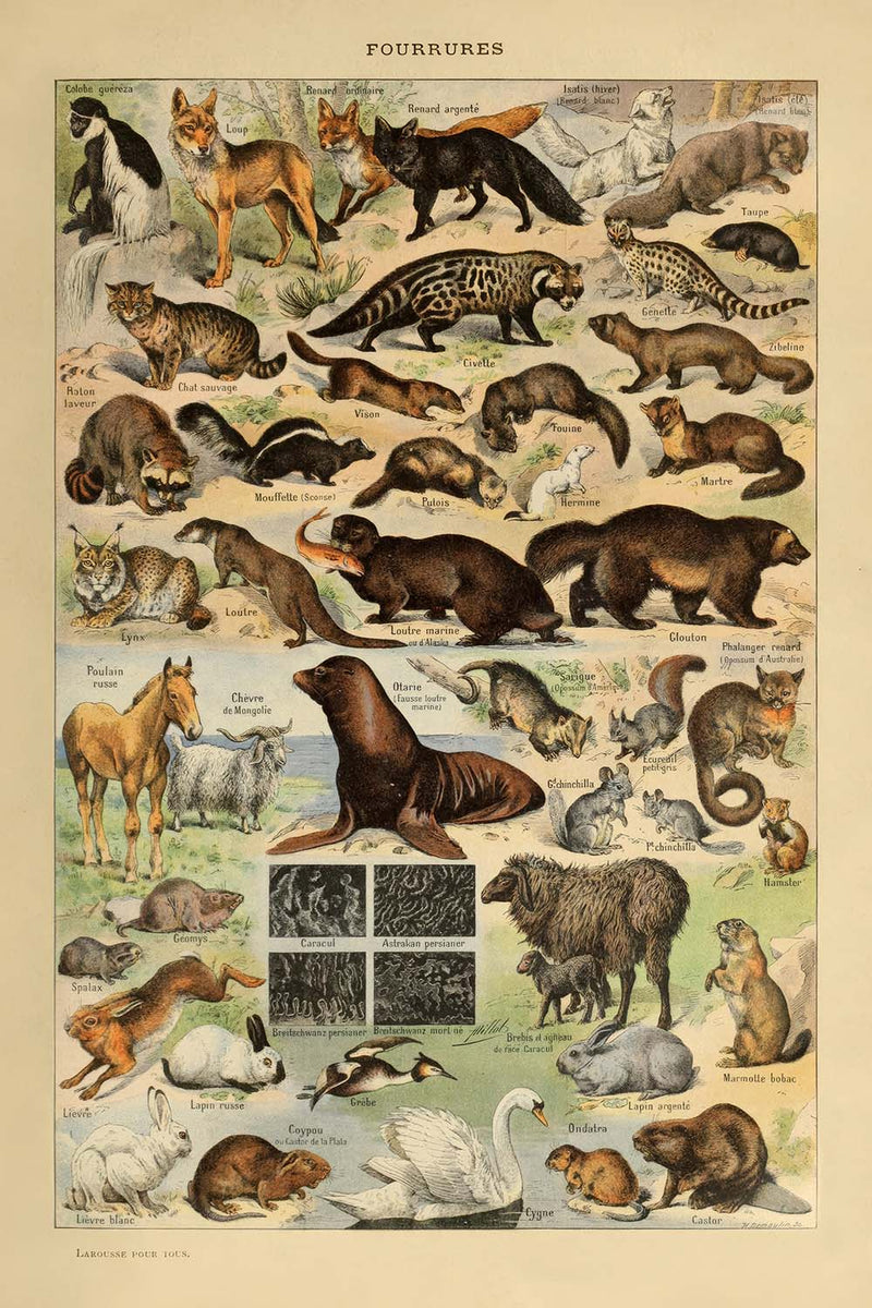 Visualiser thumbnail artwork