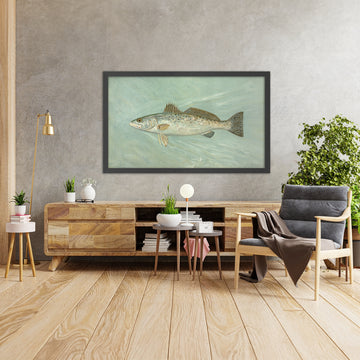 A framed image of 