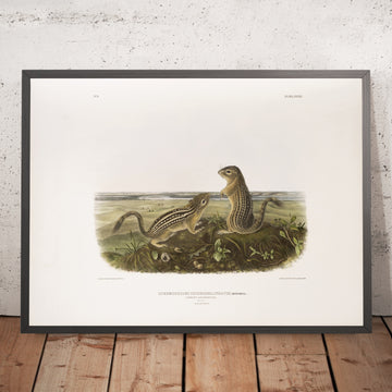 A framed image of 