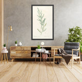 Asparagus sarmentosus (Plate 39) by Pierre Joseph Redouté, 1805