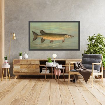 A framed image of 
