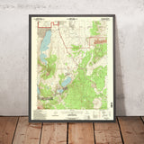 Map of June Lake, California by USGS, 1994 – Grant Lake, Mono Basin & Inyo National Forest